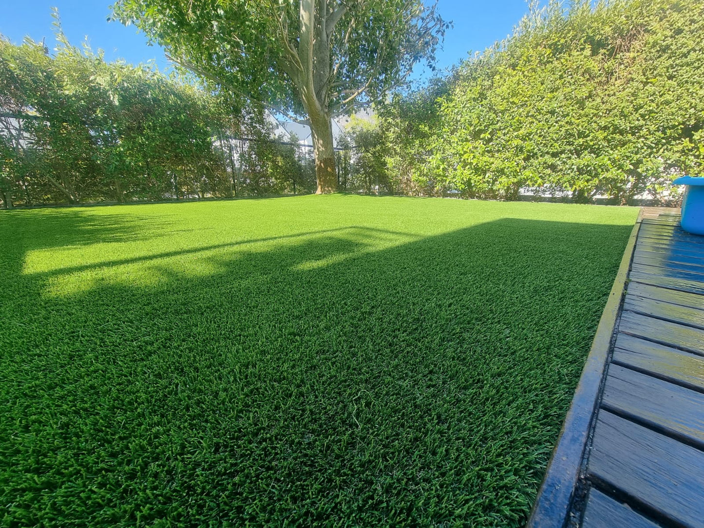 Panama 30mm Artificial Grass